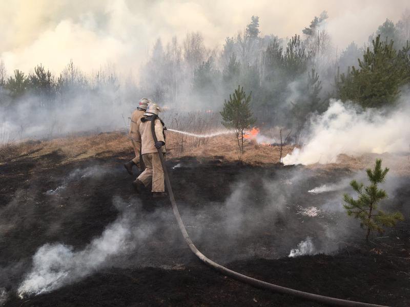 Україна у вогні: пожежа охопила тисячі гектарів лісу в Житомирській і Чернігівській областях та у Чорнобильській зоні. Їх не можуть загасити 9 днів